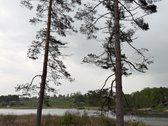 Parduodamas miškų ūkio paskirties sklypas - nuotraukos Nr. 3
