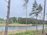 Parduodamas miškų ūkio paskirties sklypas - nuotraukos Nr. 5