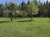 Parduodami namų valdų sklypai šalia - nuotraukos Nr. 4