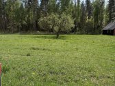 Parduodami namų valdų sklypai šalia - nuotraukos Nr. 5
