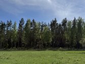 Parduodami namų valdų sklypai šalia - nuotraukos Nr. 6