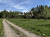 Parduodami namų valdų sklypai šalia - nuotraukos Nr. 8