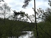 Parduodamas miškų ūkio paskirties žemės