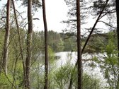 Parduodamas miškų ūkio paskirties žemės - nuotraukos Nr. 9