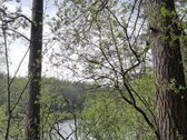 Parduodamas miškų ūkio paskirties žemės - nuotraukos Nr. 10