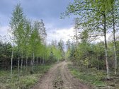 Parduodamas miškų ūkio paskirties žemės - nuotraukos Nr. 11