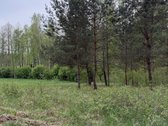 Parduodami namų valdų, žemės ūkio bei miškų