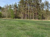 Parduodami namų valdų, žemės ūkio bei miškų - nuotraukos Nr. 5