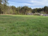 Parduodami namų valdų, žemės ūkio bei miškų - nuotraukos Nr. 6
