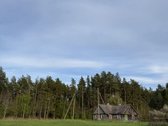 Parduodami namų valdų, žemės ūkio bei miškų - nuotraukos Nr. 8