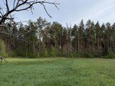 Parduodami namų valdų, žemės ūkio bei miškų - nuotraukos Nr. 11