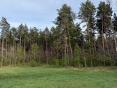 Parduodami namų valdų, žemės ūkio bei miškų - nuotraukos Nr. 14
