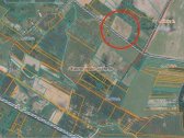 Sklypas 3,6 ha, prie kelio, yra nuovaža, 37,9 - nuotraukos Nr. 2