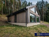 Nepraleiskite progos įsigyti išskirtinėje - nuotraukos Nr. 3