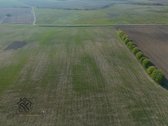 Parduodamas 73.39 Arų Sklypas Kretingalėje, - nuotraukos Nr. 8
