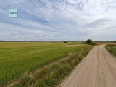Perspektyvus Sklypas Drevernoje – Vieta Jūsų - nuotraukos Nr. 4