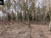 Parduodamas Žemės Sklypų Masyvas Šalia - nuotraukos Nr. 7