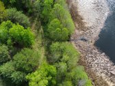 Parduodamas 100 arų žemės sklypas ant - nuotraukos Nr. 8
