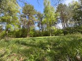 Parduodamas 100 arų žemės sklypas ant - nuotraukos Nr. 2