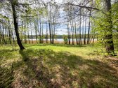 Parduodamas 100 arų žemės sklypas ant - nuotraukos Nr. 3