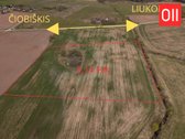 Parduodamas 3,1412 ha žemės ūkio paskirties