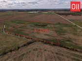 Parduodamas 3,1412 ha žemės ūkio paskirties - nuotraukos Nr. 3