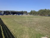 Vilniaus m. sav., Vilniaus m., Balsiai