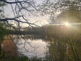 Parduodami 5 namų valdos sklypai po 12 arų - nuotraukos Nr. 4