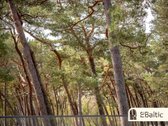 Prestižas ir ramybė prie pat jūros: - nuotraukos Nr. 11