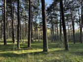 Naujas, Pilnai Įrengtas 4 K. Butas Palangoje - nuotraukos Nr. 29