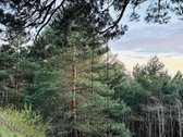 Naujas, Pilnai Įrengtas 4 K. Butas Palangoje - nuotraukos Nr. 30