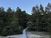 Naujas, Pilnai Įrengtas 4 K. Butas Palangoje - nuotraukos Nr. 33