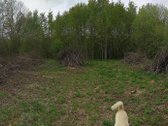 Be tarpininkų parduodamas 6,44 a sklypas SB - nuotraukos Nr. 4