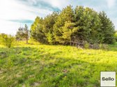  – Nt ekspertai be procentų - nuotraukos Nr. 38