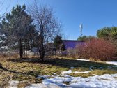 Sodo sklypas Vilniaus r. prie ežerų ir pušynų - nuotraukos Nr. 4