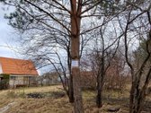 Sodo sklypas Vilniaus r. prie ežerų ir pušynų - nuotraukos Nr. 3
