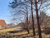 Sodo sklypas Vilniaus r. prie ežerų ir pušynų - nuotraukos Nr. 5