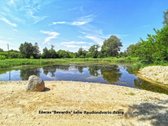 Parduodami Erdvūs 13 Ir 14 A. Vienbučių Ir - nuotraukos Nr. 13