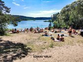 Parduodami Erdvūs 13 Ir 14 A. Vienbučių Ir - nuotraukos Nr. 14