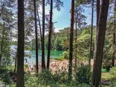 Parduodami Erdvūs 13 Ir 14 A. Vienbučių Ir - nuotraukos Nr. 15