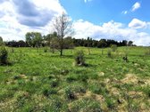 Parduodami du greta esantys sklypai Antano - nuotraukos Nr. 2