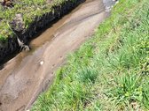 Parduodami du greta esantys sklypai Antano - nuotraukos Nr. 3