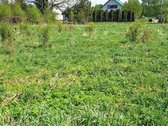 Parduodami du greta esantys sklypai Antano - nuotraukos Nr. 5