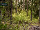 Molėtuose Prie Bebrusų Ežero, Parduodamas - nuotraukos Nr. 12
