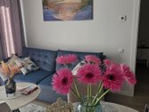 Išnuomojamas visiškai naujas, prabangiai