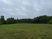 Parduodami erdvūs namų valdos sklypai - nuotraukos Nr. 7