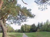 Parduodamas Išskirtinis 20 Arų Namų Valdos