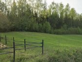 Parduodamas Išskirtinis 20 Arų Namų Valdos - nuotraukos Nr. 4