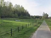 Parduodamas Išskirtinis 20 Arų Namų Valdos - nuotraukos Nr. 5