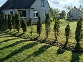 Namas ramioje vietoje, iš trijų pusių nėra - nuotraukos Nr. 2